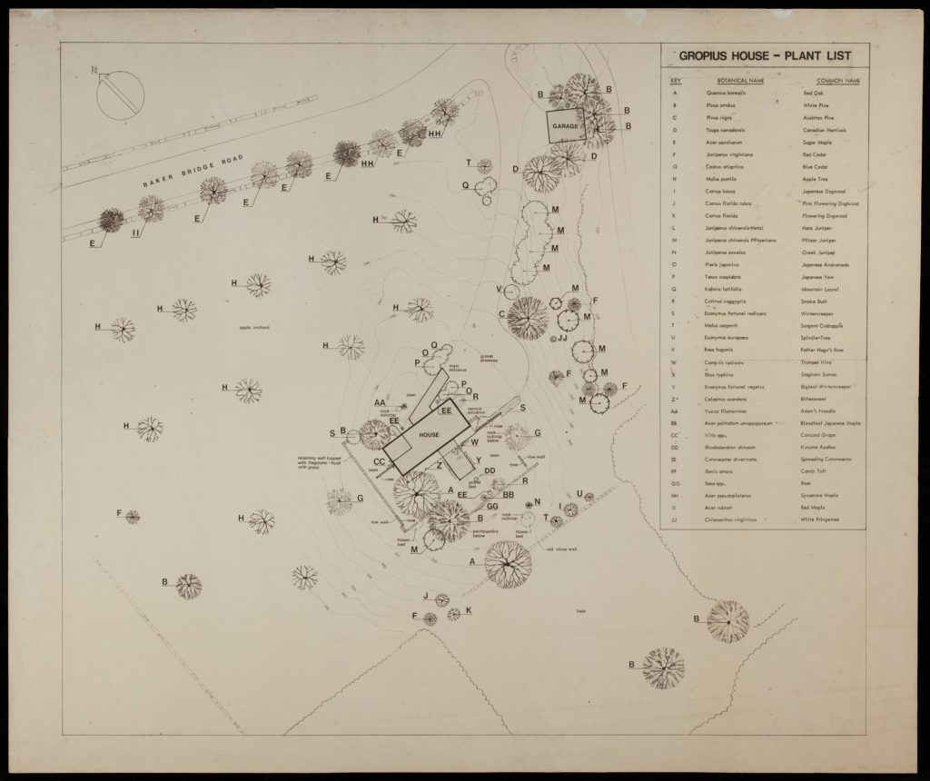 A sketched plan showing a proposed plant design around the Gropius House