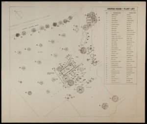 A sketched plan showing a proposed plant design around the Gropius House